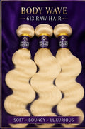 Body Wave 613